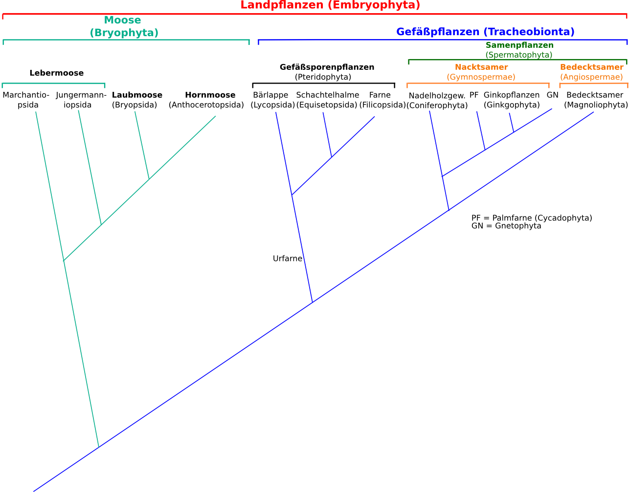 Systematische Einteilung der Landpflanzen