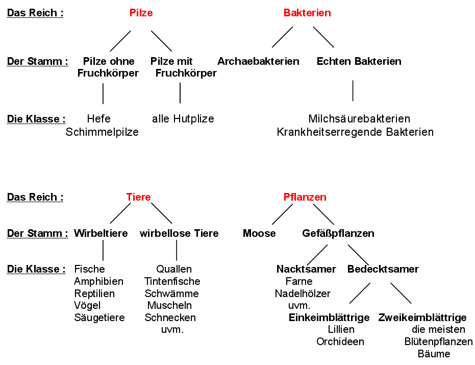 ebook die kulturelle bedeutung der komplexen psychologie