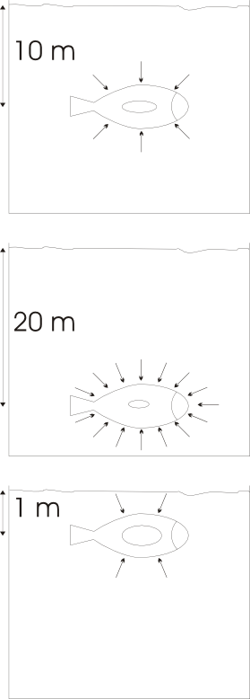 Auftrieb - Skizze