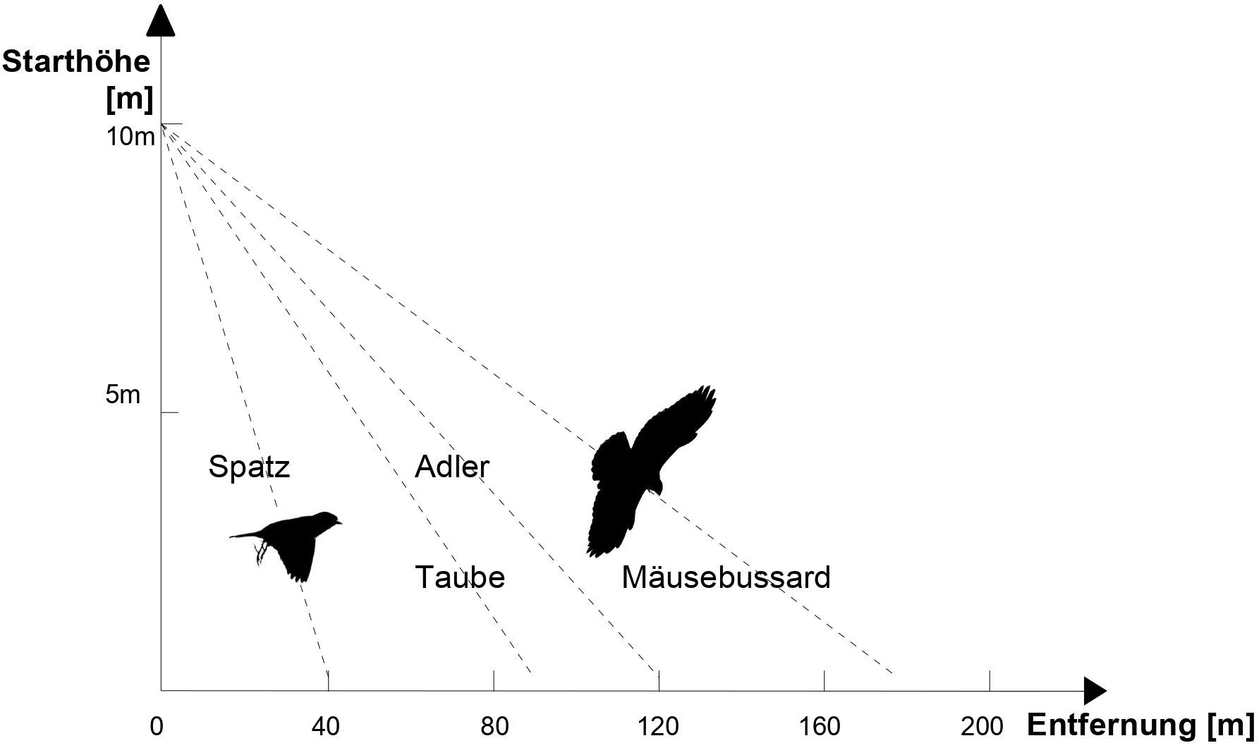 vergleich der Gleitfugstrecken, verschiedener Vogelarten