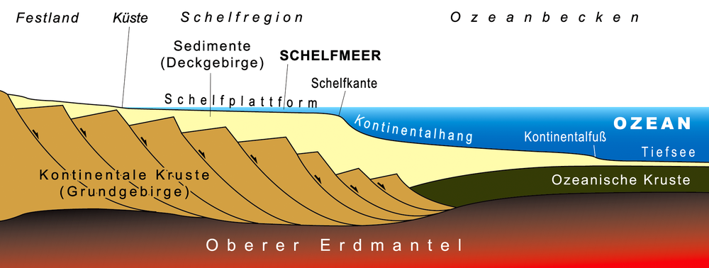 Das Schelf