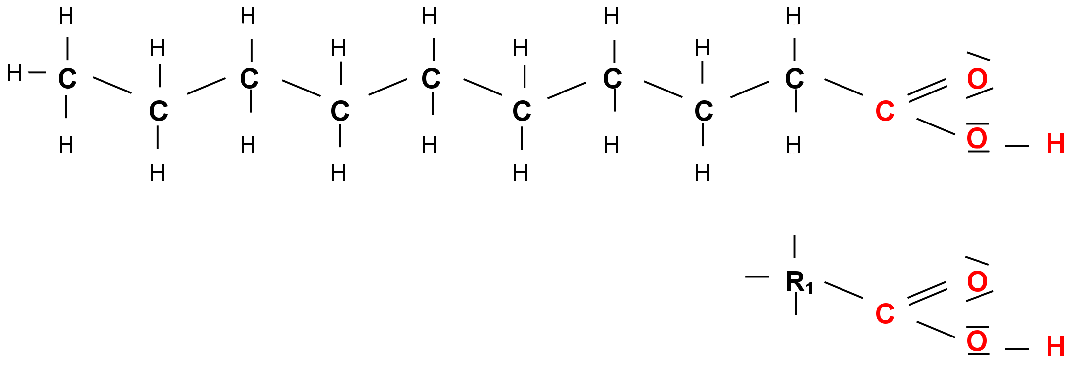 Beispiel für ein Fettsäuremolekül