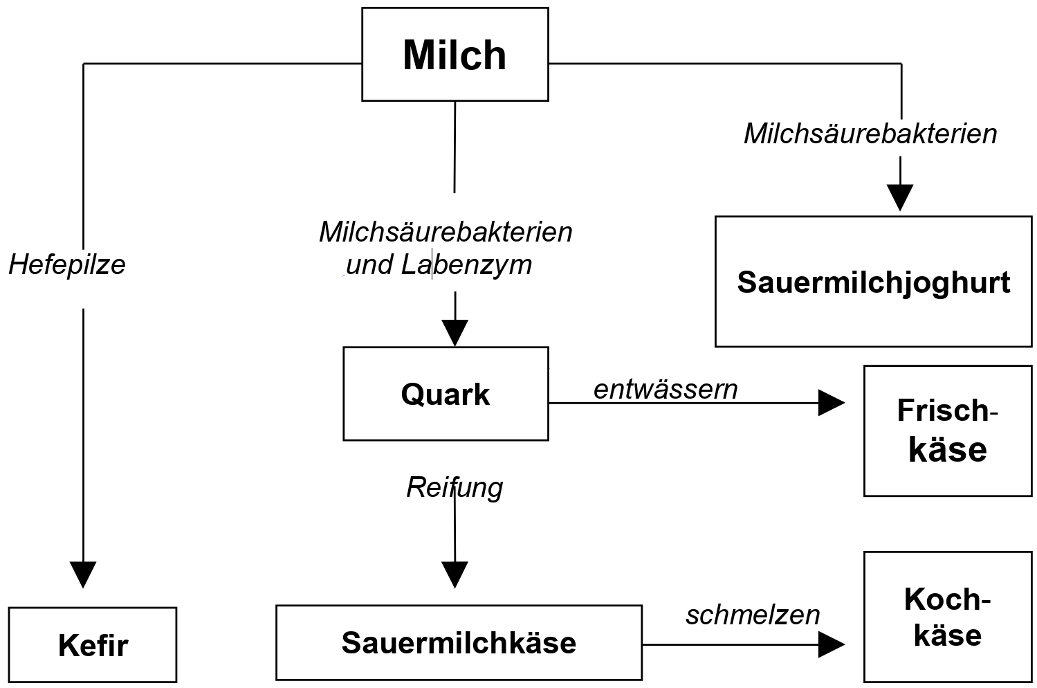 Übersicht und Verwandtschaft der Milchprodukte