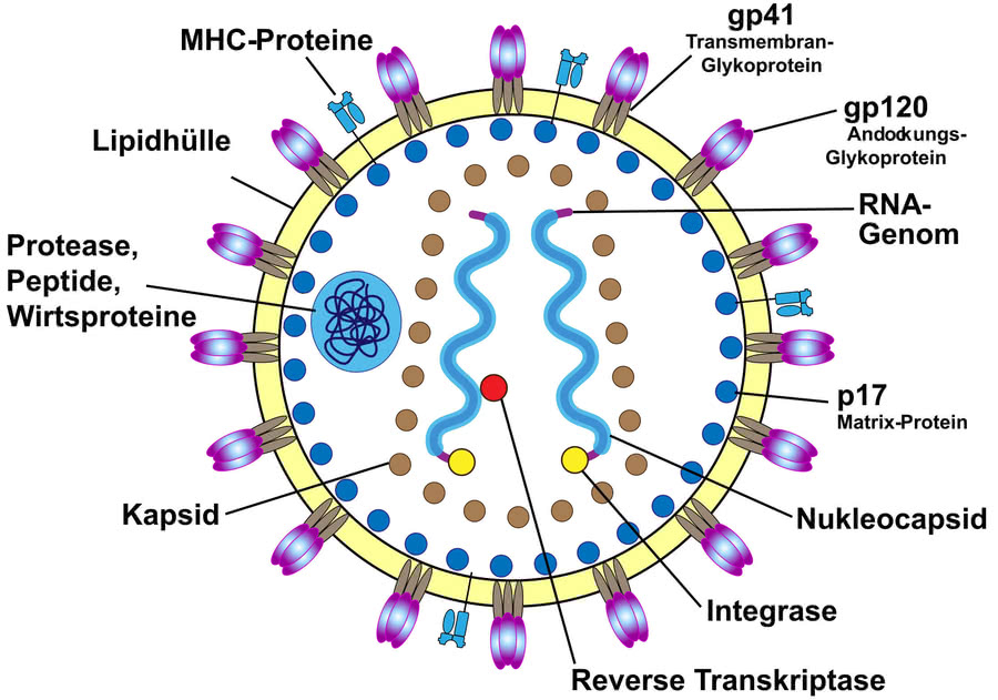 HIV