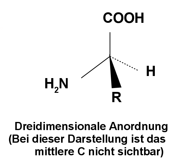 Aminosäure, 3D Projektion