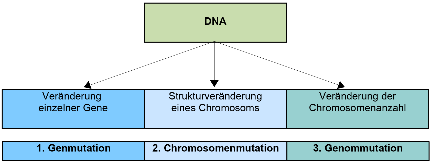 Mutationstypen