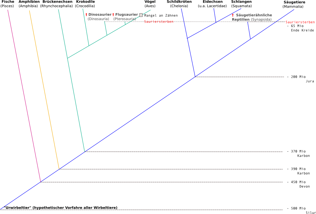 Stammbaum der Säugetiere