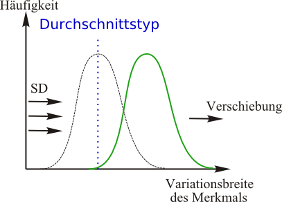 Richtende (auch transformierende, dynamische oder direktionale) Selektion