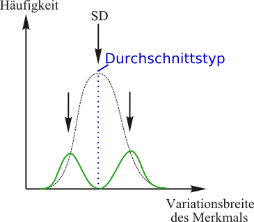 Disruptive Selektion