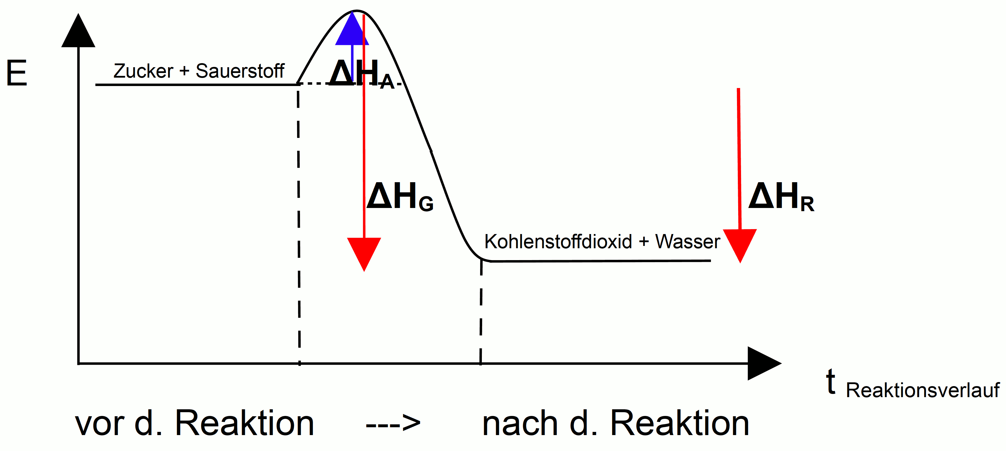 Energiediagramm, Exotherme Reaktion