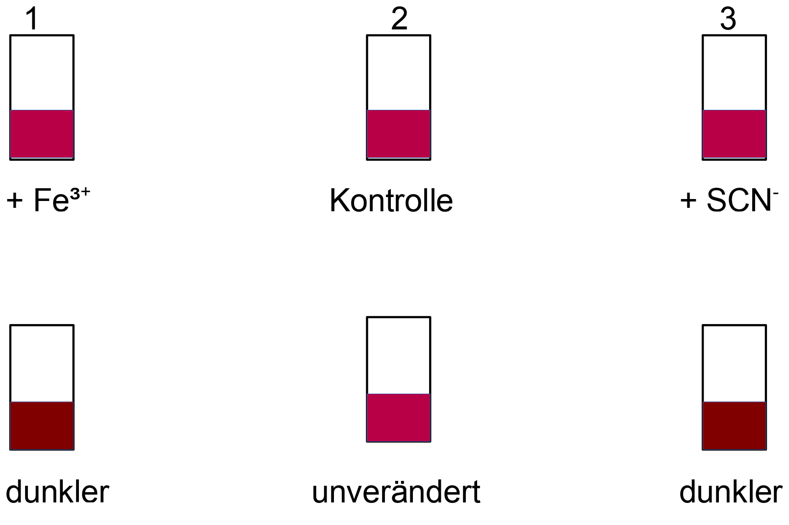 Eisenthiocyanatgleichgewicht mit Eisen(III)ionen und SCN